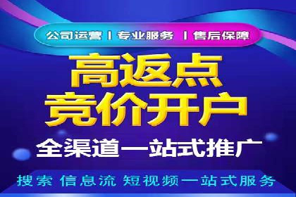 百度推广费用案例：成功案例分析及启示